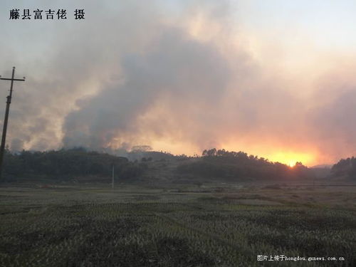 (大牯牛寨山)官方通报游客纵火事件，揭秘大牯牛山火灾背后的真相与影响