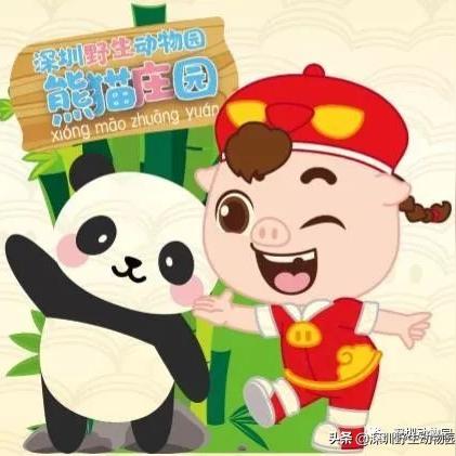 (第一季猪猪侠)猪猪侠第六季:勇闯未知世界,挑战新的敌人!