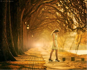 (逆光摄影教程)逆光者百科：破解逆光摄影技巧，探索光影之美与拍摄窍门