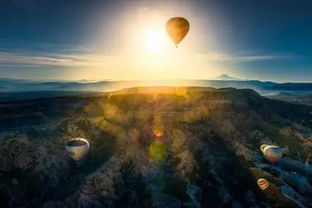 (逆光摄影教程)逆光者百科：破解逆光摄影技巧，探索光影之美与拍摄窍门