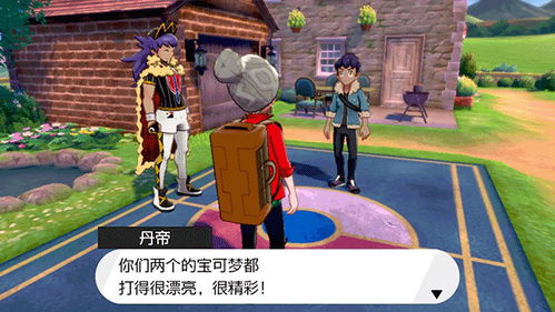 (宝可梦剑盾全精灵捕捉地点一览)宝可梦剑盾一周目必抓攻略:如何找到并捕捉所有必要的精灵?