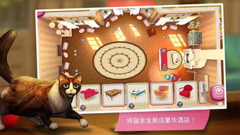 (抓猫咪游戏)让猫咪疯狂欢乐的专属游戏盘点:挠痒痒、追光点、藏猫猫等 (抓猫咪游戏)让猫咪疯狂欢乐的专属游戏盘点:挠痒痒、追光点、藏猫猫等