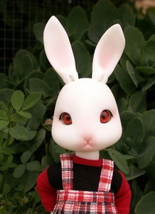 (萌萌兔子图片)萌萌兔限定:可爱兔子文具、玩具、服饰等精美周边尽在其中! (萌萌兔子图片)萌萌兔限定:可爱兔子文具、玩具、服饰等精美周边尽在其中!